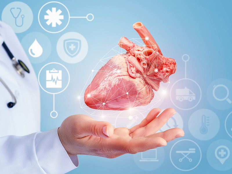 Սրտաբանական և ֆունկցիոնալ ախտորոշում